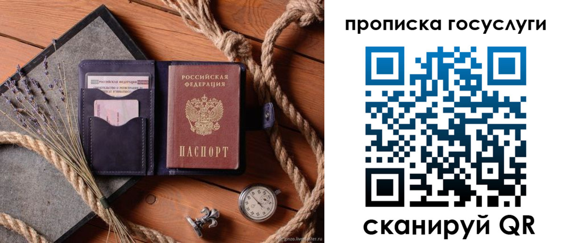 прописка поиск в Болотном